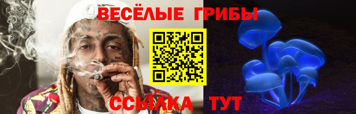 Хабаровск  Псилоцибиновые грибы прущие грибы  Псилоцибиновые грибы Cubensis  Вход с VPN 